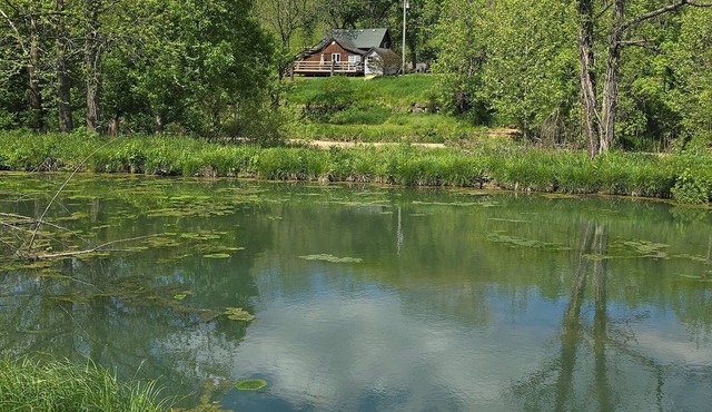 Waterfront cabin w/creek waterfall, pond & 2 decks. Nestled in the Ozark hills.