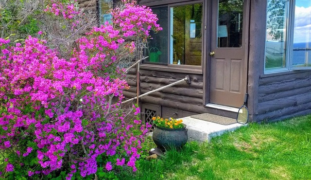 Waterfront Cabin with Million Dollar View and Luxury Bath! Find Shark's Teeth!