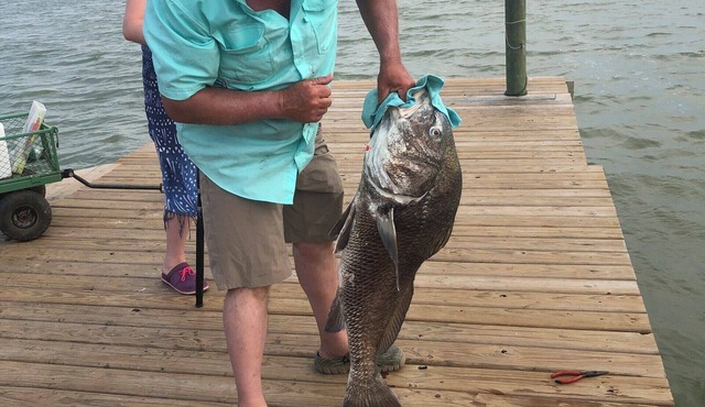 Waterfront Cabin with Amazing Private Fishing Pier and 6 Acres on the bay