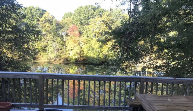 Waterfront Charming Cottage