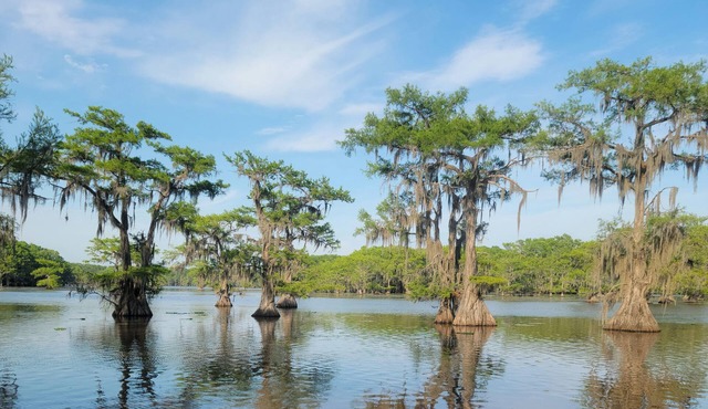 Waterfront, close to Caddo State Park, walk to Shady Glade, vast deck, remodeled