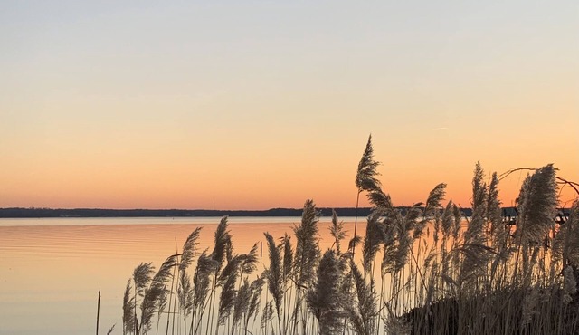 Waterfront - Cobb Island, MD