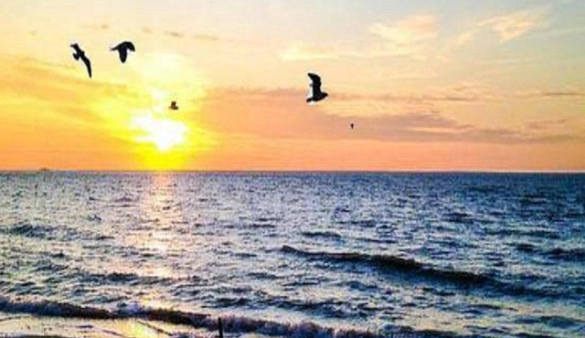 WATERFRONT COTTAGE BY THE SEA Available June and Labor Day week