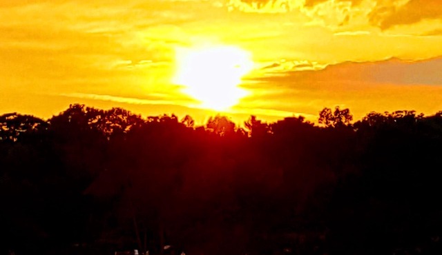 Waterfront Cottage Close to White's Falls