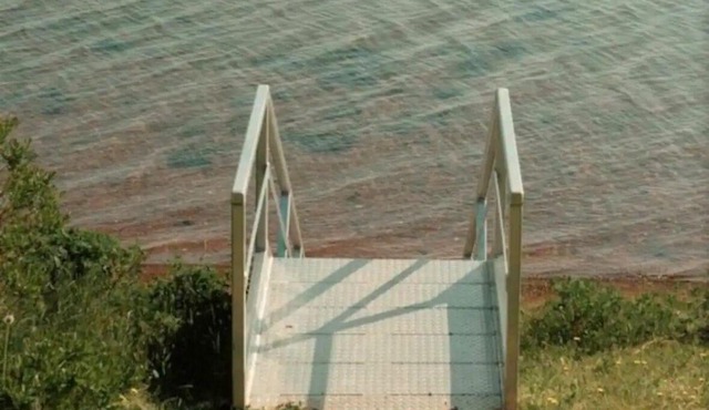 Waterfront Cottage in Georgetown