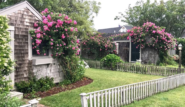 Waterfront Cottage in Sconset with Stunning Sunrise Views