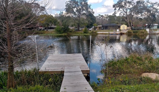 WATERFRONT COTTAGE w/ACCESS TO WEEKI WACHEE RIVER & GULF FRESHLY REMODELED!