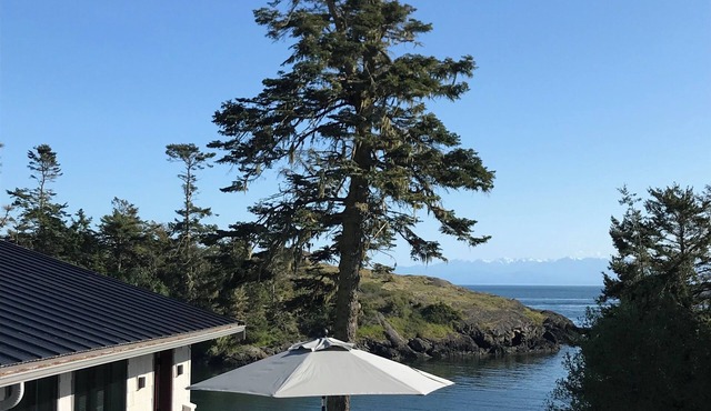 Waterfront Cove, West Side Of San Juan Island, Sandy Beach, Prime Orca location