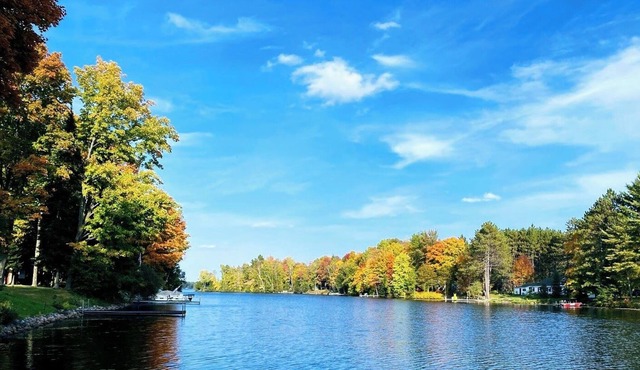 Waterfront, Dog Friendly - West In Townsend Lodge