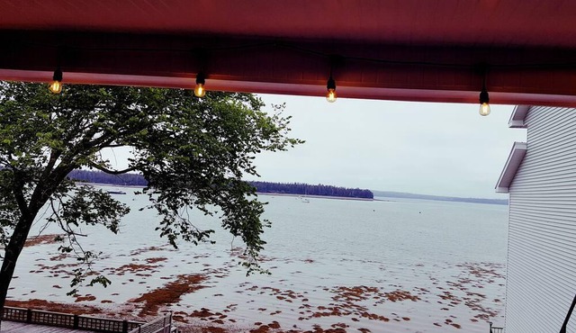 Waterfront, downtown