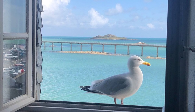 Waterfront duplex in the heart of the historic center