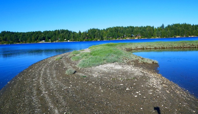 Waterfront Gem on Pickering Passage