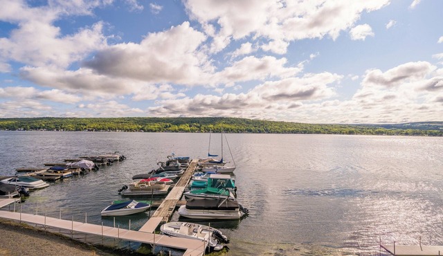 Waterfront Gem with amazing views! Nearby to Letchworth St Park & SUNY Geneseo!
