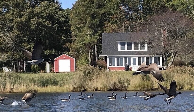 WATERFRONT GETAWAY- Charming Waterfront Cottage on St Clements Bay
