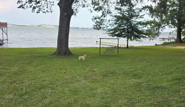 “Waterfront Getaway on Wheeler Lake – Private Dock & Boat Ramp”