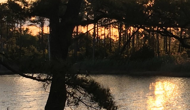 Waterfront Hideaway PRIVATE 3rd flr guestsuite PRIVATE DECK Nature Preserve View