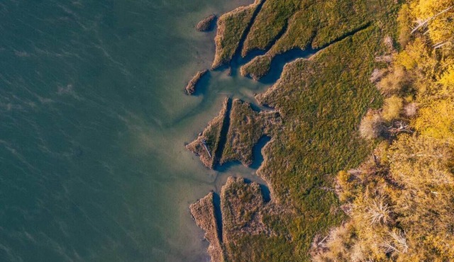 Waterfront Home on Oakland Bay in Shelton