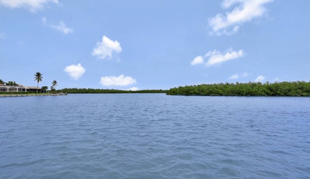 Waterfront Home on Key Lot | Pool/View of River