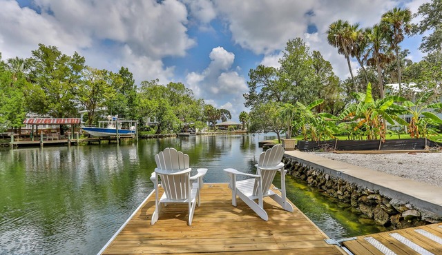 Waterfront Kings Bay, Swim in Springs off the boat dock - Kayaks incl.
