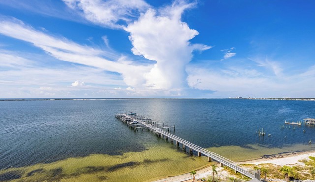 Waterfront Listing In Beautiful Harbour Pointe! Gulf View, Too!
