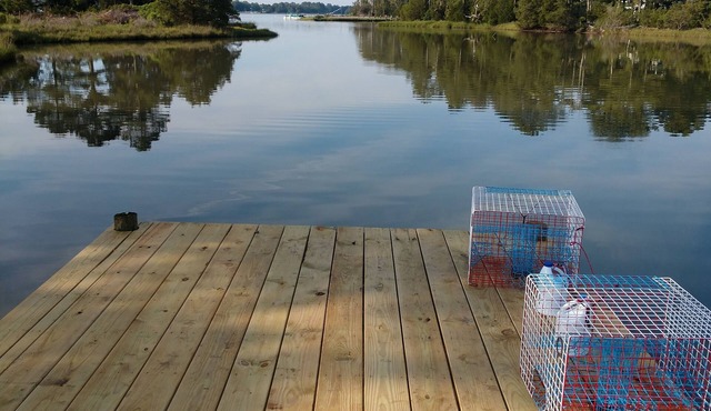 Waterfront Oasis in Middle of Virginia Eastern Shore Bayside w/pier