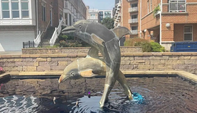 Waterfront oasis near the Inner Harbornn