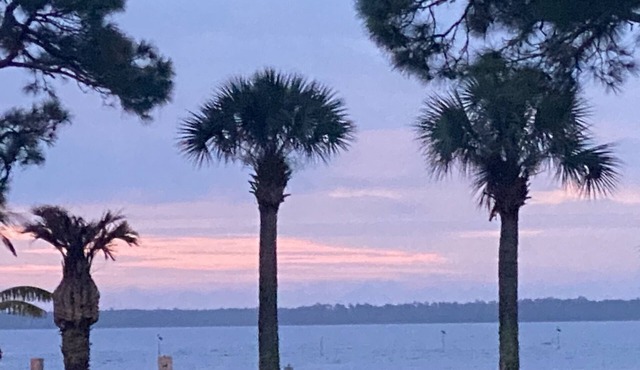 Waterfront on Ochlockonee Bay-Renovated condo & sparking pool