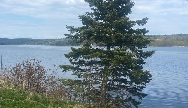 Waterfront on the Saint John River