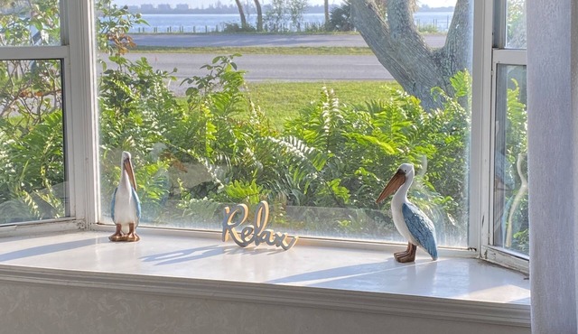 Waterfront Paradise Found! 1/2 acre Pets Welcome!