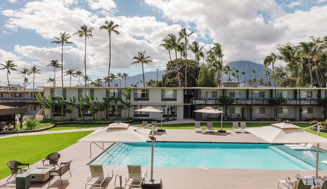 Waterfront Perfection! 3 Fantastic Rooms, Pet-Friendly, Near Kanaha Beach Park