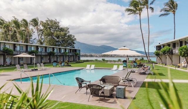 Waterfront Perfection! 3 Fantastic Rooms, Pet-Friendly, Near Kanaha Beach Park