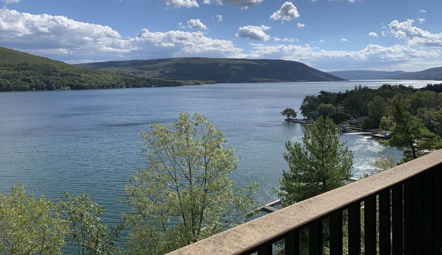Waterfront Retreat on Canandaigua Lake (End Unit Condo)