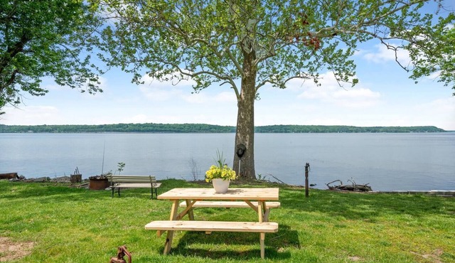 Waterfront Rivers Edge~on the Mississippi