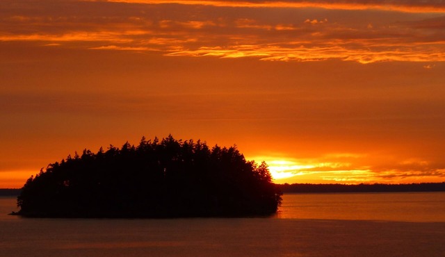 Waterfront Romantic Chuckanut Bay Cottage with Beach