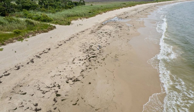 WATERFRONT*SEMI-PRIVATE BEACH*KING BD* DUAL DESK WORKSTATIONS* BLAZING FAST WIFI