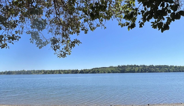 Waterfront Shelton Retreat With Beach Access