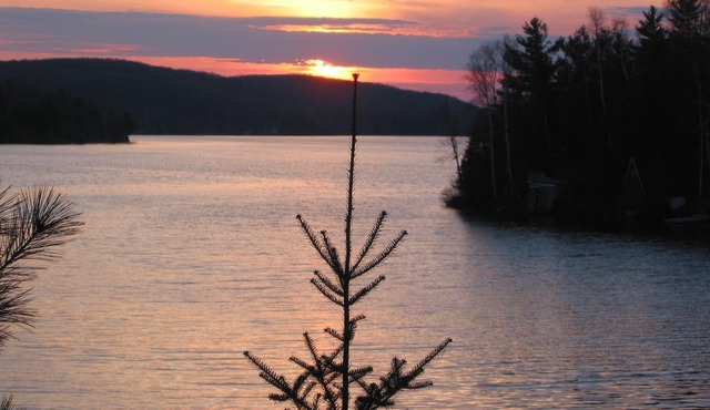 Waterfront! Sleeps six, minutes from Huntsville, sandy beach, rustic charm!