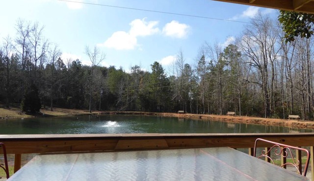 Waterfront Tiny House at Pine Ridge Campground. More info in description.