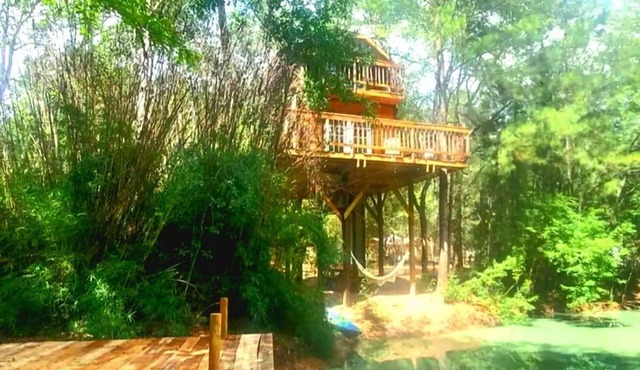 Waterfront Treehouse In A Magical Forest!