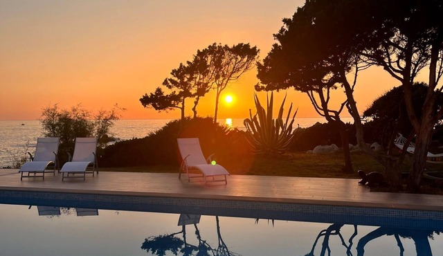 Waterfront villa for 9 on 4000 m2 of enclosed grounds.