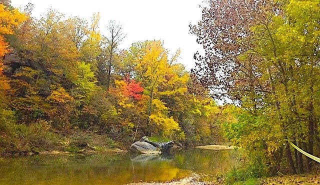 WATERFRT CABIN PINEY CREEK-GORGEOUS-SECLUDED-KING BED-2 BATHROOMS+O/S HOT SHOWER