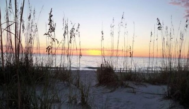 Waterside 2BR lagoon retreat. Beach, dock, pool, dog-friendly. Incommunicado!