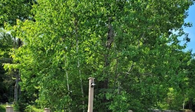 Waterville Condo located Close to Skiing, Trails & Town!!