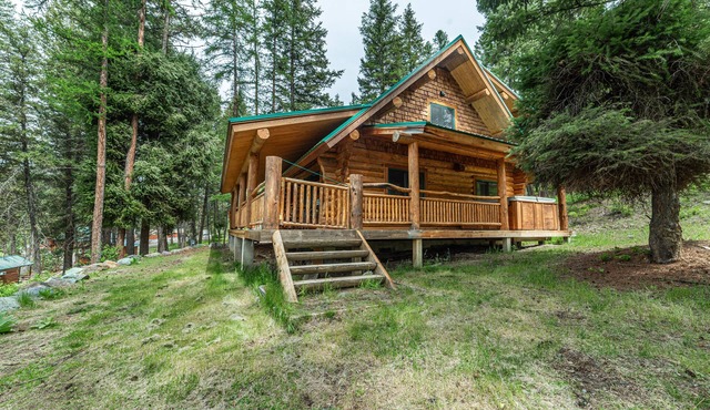 Wayne Manor-Cozy Cabin in the Woods Lake Views