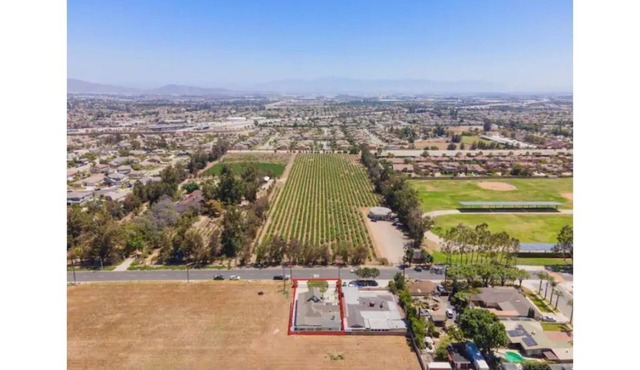 Wayside Vineyard