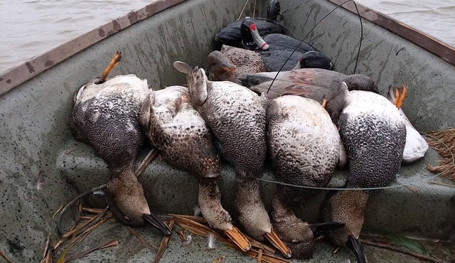 WB Outfitters Fishing and Hunting Lodge-Entire House