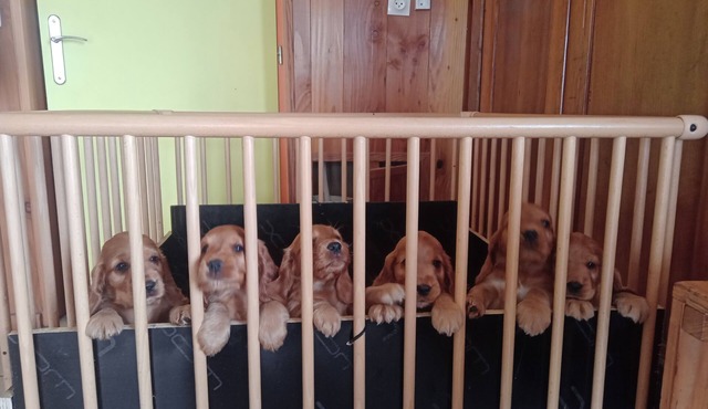 We all want to go to the Ardèche! It's great!