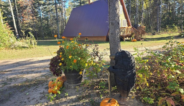 We are 22 mi from Warroad, 26 mi from Roseau, 2.3 mi from Hayes Lake State Park