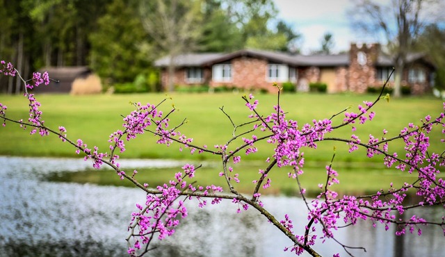 We are a quiet ranch home that sits on 8 acres with firepit, pond and bar.