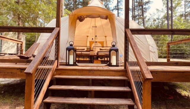 We BEElong - (Tent)